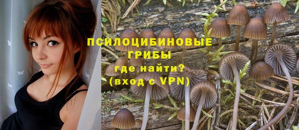 ешки Баксан